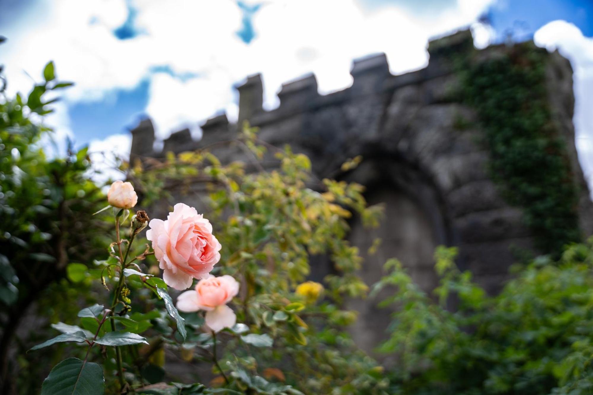 Lonsdale House Boutique Apartments Ulverston Luaran gambar